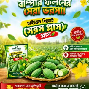 হাইব্রিড খিরাই সরস প্লাস 10gm